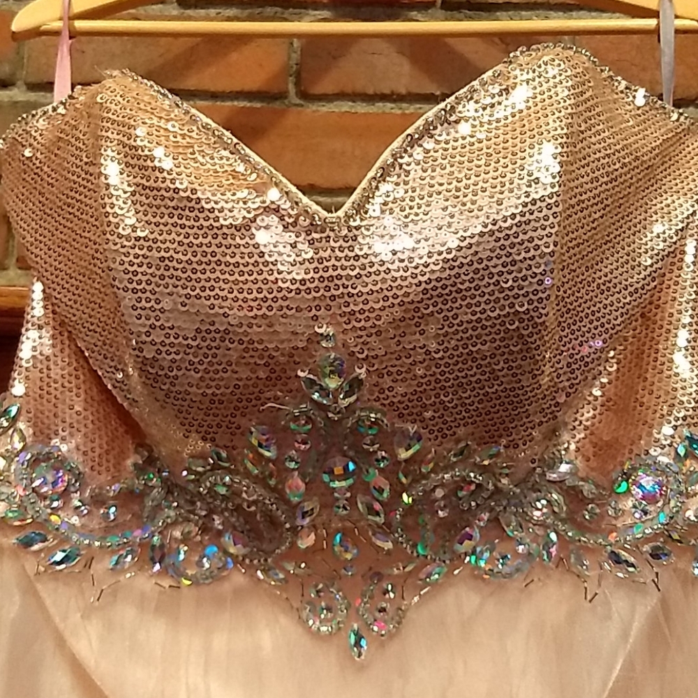 EUC sz 14 Blush Prom strapless gown